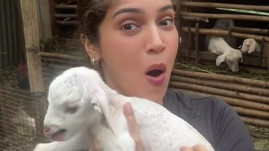 Bhumi Pednekar turns ‘farm girlie’ for two weeks, finds joy among baby goats, homegrown food & nature Bhumi Pednekar turns ‘farm girlie’ for two weeks, finds joy among baby goats, homegrown food & nature