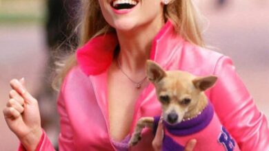 Reese Witherspoon celebrates National Pink Day: More than just a color