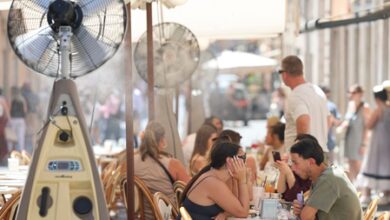 Europe reels under extreme heat; WHO calls it ‘health emergency’ Europe reels under extreme heat; WHO calls it ‘health emergency’