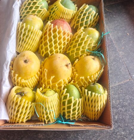 Nitin Nabin sends premium Indian mangoes to diplomats from 82 countries