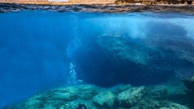 Greek lawmaker raises concerns over Greece-China underwater heritage pact, questions reciprocity: Report Greek lawmaker raises concerns over Greece-China underwater heritage pact, questions reciprocity: Report