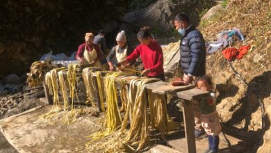 How trees used for Japan banknotes started being grown 5,200 km away in Himalayan slopes Of Nepal How trees used for Japan banknotes started being grown 5,200 km away in Himalayan slopes Of Nepal