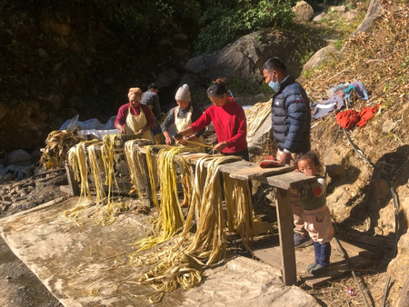 How trees used for Japan banknotes started being grown 5,200 km away in Himalayan slopes Of Nepal