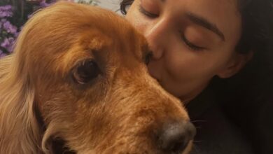 Disha Patani mourns the loss of her beloved pets Bella and Jasmine: ‘You taught me what love is’