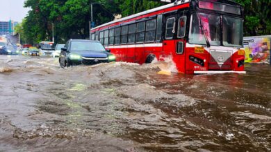 IMD issues alerts for 31 Maha districts; Mumbai reports 113 tree fall incidents