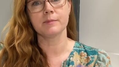 Here’s how Amy Adams saved a stabbing victim