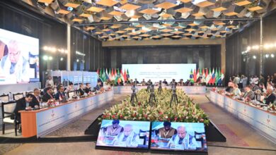 India-chaired BRICS meet launches Digital Centre of Excellence for smart grids, energy storage