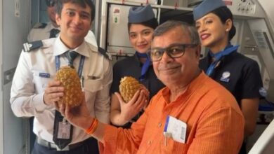 Tripura govt to expand pineapple cultivation to 15K hectares