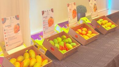 India holds first-ever mango promotion events in Iceland to boost exports