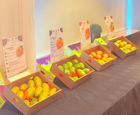 India holds first-ever mango promotion events in Iceland to boost exports