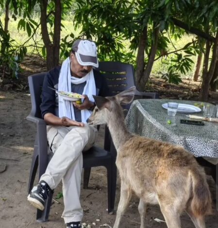 MP: Satpura Tiger Reserve officer suspended for feeding, petting Sambar deer