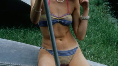 Elizabeth Banks says ‘Wet Hot American Summer’ changed her life