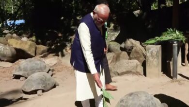 PM Modi visits Seychelles National Botanical Garden, meets world’s oldest living land animal