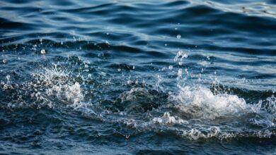 Three teenagers drown while bathing in Narmada river in Jabalpur