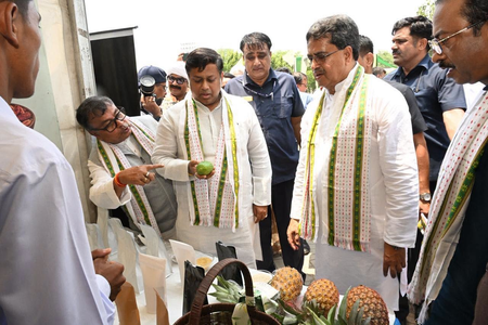 GI-tagged queen pineapple taking state to global stage: Tripura CM