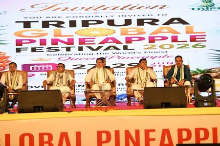 Tripura Global Pineapple Festival to boost agriculture, tourism and culture: Minister