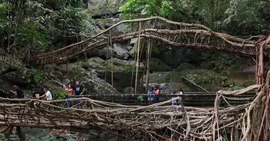 PM Modi highlights Meghalaya’s living root bridges in ‘Mann Ki Baat’, lauds conservation efforts