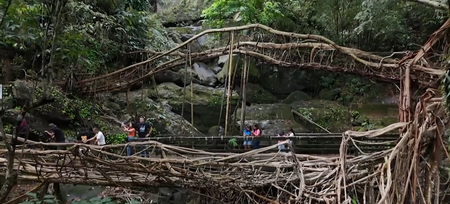 PM Modi highlights Meghalaya’s living root bridges in ‘Mann Ki Baat’, lauds conservation efforts
