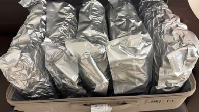 10.91 kg hydroponic marijuana worth Rs 11 cr seized at Ahmedabad airport, flyer held