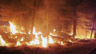 Three US wildland firefighters killed near Colorado-Utah border as western fires surge