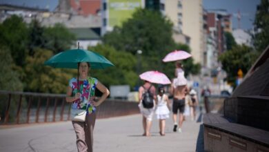 Over 1,300 excess deaths linked to Europe heatwave: WHO