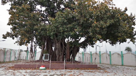 Santhal Hul: Jharkhand’s Bhognadih prepares to honour tribal heroes of India’s earliest freedom uprising