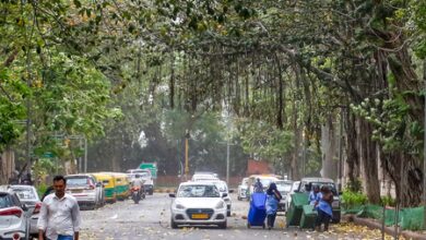 Delhi-NCR wakes up to cloudy, humid morning; light rain, gusty winds likely