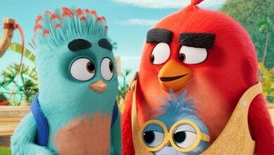 ‘The Angry Birds Movie 3’ trailer pushes Red into unfamiliar territory