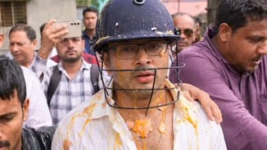 Calcutta HC seeks report from Bengal Police on action taken after egg attacks on political persons