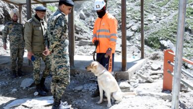 BSF DG reviews security arrangements for Amarnath Yatra; promises safe and secure pilgrimage