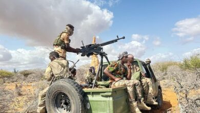 Somali army airstrikes kill 35 al-Shabaab militants
