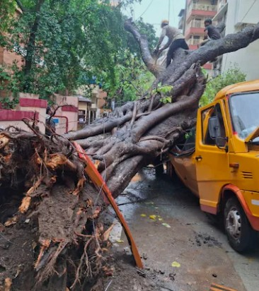 1 dead, 10 injured as tree collapses on school bus in Mumbai’s Chembur 1 dead, 10 injured as tree collapses on school bus in Mumbai’s Chembur