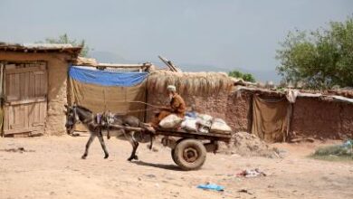 Pakistan: Centuries-old fort dating back to Hindu Shahi period crumbles amid neglect, encroachment