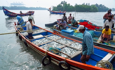 No trawlers, less fish: Kerala braces for price rise of a favourite staple No trawlers, less fish: Kerala braces for price rise of a favourite staple