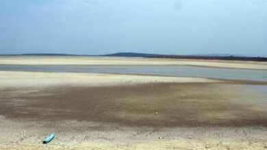 TN: Poondi reservoir receives steady Krishna water inflow boosting Chennai water supplies