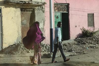 FAO warns of triple threat to Somalia’s humanitarian situation