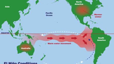 WMO says El Nino increases risk of extreme weather WMO says El Nino increases risk of extreme weather