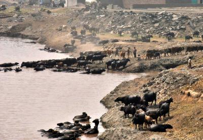 Pakistan river contamination crisis grows amid systemic governance failure: Report