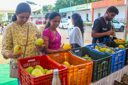 Centre sets up experts’ panel to boost earnings of Andhra’s mango farmers Centre sets up experts’ panel to boost earnings of Andhra’s mango farmers