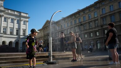Portugal declares state of alert as extreme heat grips country Portugal declares state of alert as extreme heat grips country