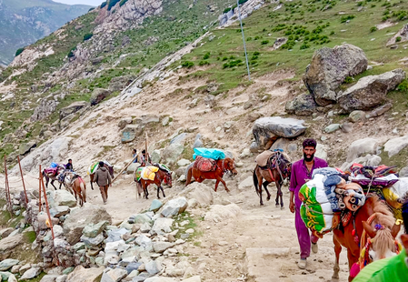 Amarnath Yatra 2026: Pilgrims arrive in Srinagar as registration, RFID process begins in Jammu Amarnath Yatra 2026: Pilgrims arrive in Srinagar as registration, RFID process begins in Jammu