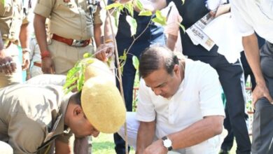Assam CM launches Van Mahotsav campaign, urges people to plant saplings Assam CM launches Van Mahotsav campaign, urges people to plant saplings