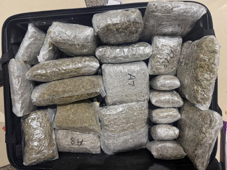 Man held at Ahmedabad airport with hydroponic marijuana valued at over Rs 4 crore Man held at Ahmedabad airport with hydroponic marijuana valued at over Rs 4 crore