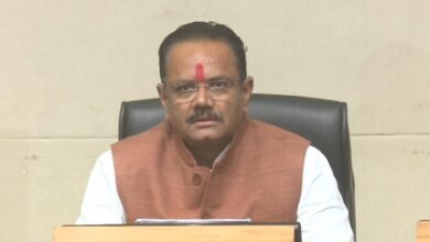 Gujarat to begin summer moong procurement at MSP from July 7; over 14,000 farmers registered