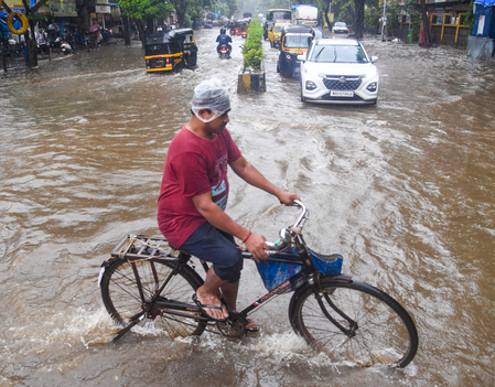 Heavy rainfall lashes Maharashtra, Palghar records 203 mm, rivers cross danger marks Heavy rainfall lashes Maharashtra, Palghar records 203 mm, rivers cross danger marks