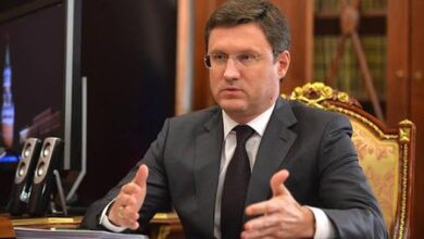 Russia’s economy 80 pc adapted to external challenges: Deputy PM