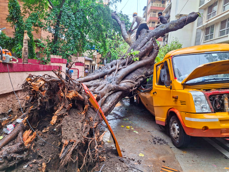 Mumbai Monsoon mayhem: Over 99 tree falls, 13 short circuits amid relentless rain