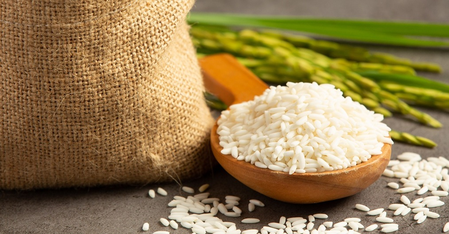 Govt achieves milestone in conservation of India’s wild rice genetic resources