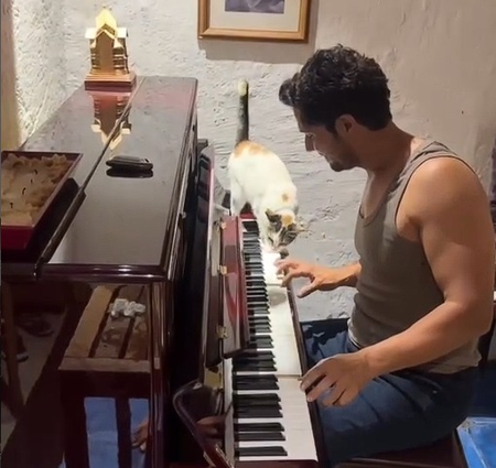 Randeep Hooda’s cat takes over his monsoon piano session Randeep Hooda’s cat takes over his monsoon piano session