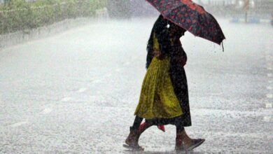 IMD predicts heavy rain in Odisha after low-pressure formation